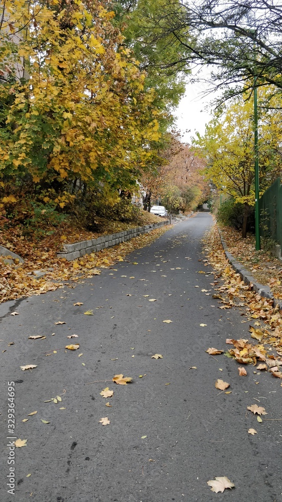 Autumn Autumn