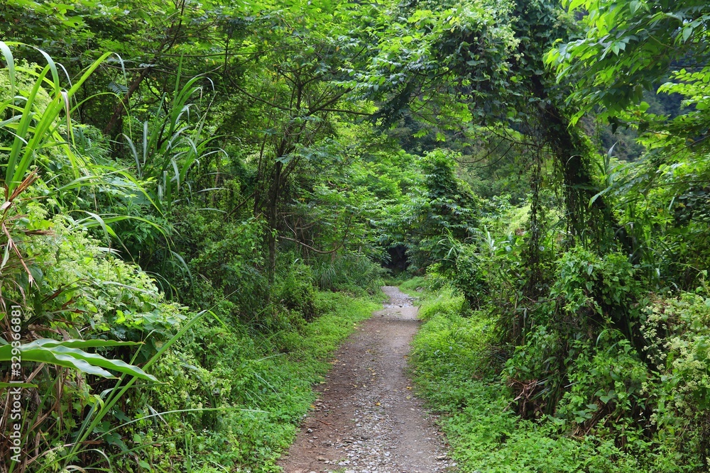 Obraz premium Taiwan outdoors