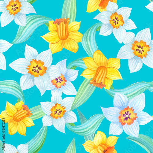 Spring illustration with yellow and white daffodils on blue background.Watercolor