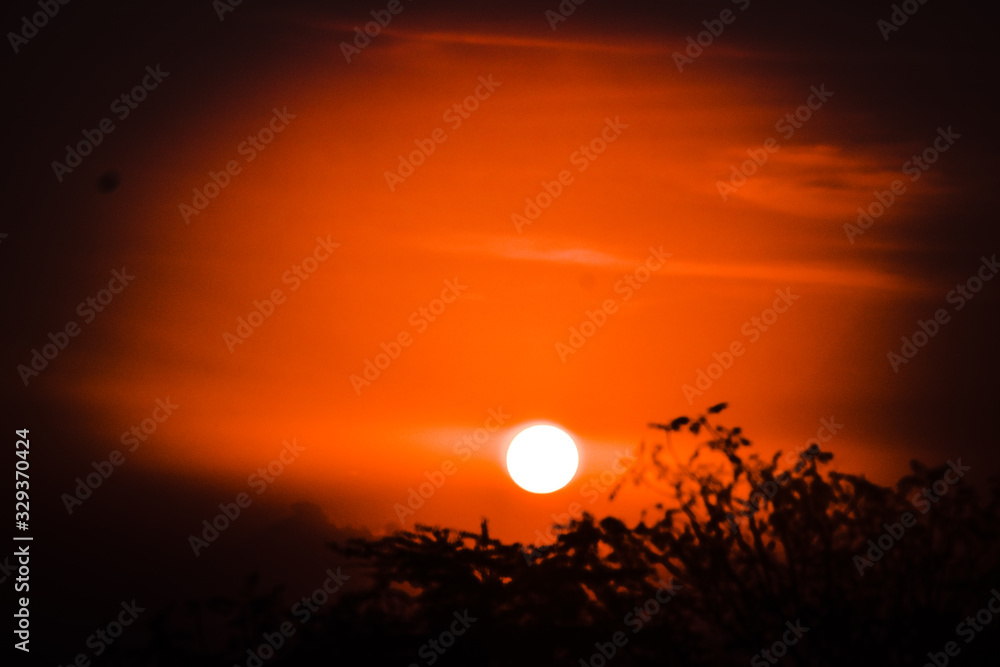 sun, trees, golden morning, orange sky, amazing, kenyan sunrise, 