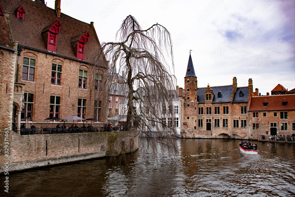 Willow tree and cafe on canal in Europe Willow tree and cafe on canal in Europe
