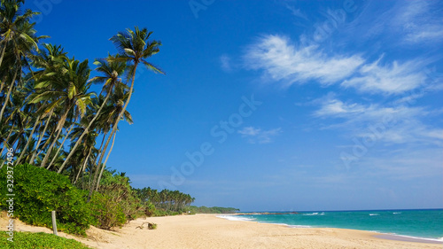 Sandy deserted paradise beach with palm trees on the ocean