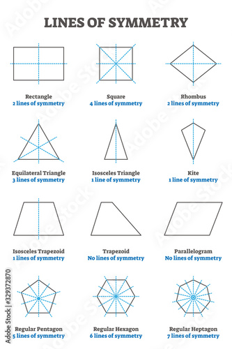 Lines of symmetry guide  vector illustration collection