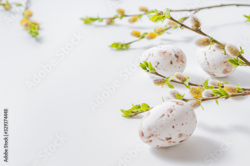 Composition with green buds on branches, easter eggs on a light background