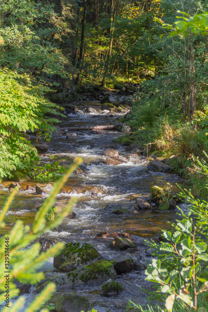 around Vologne river