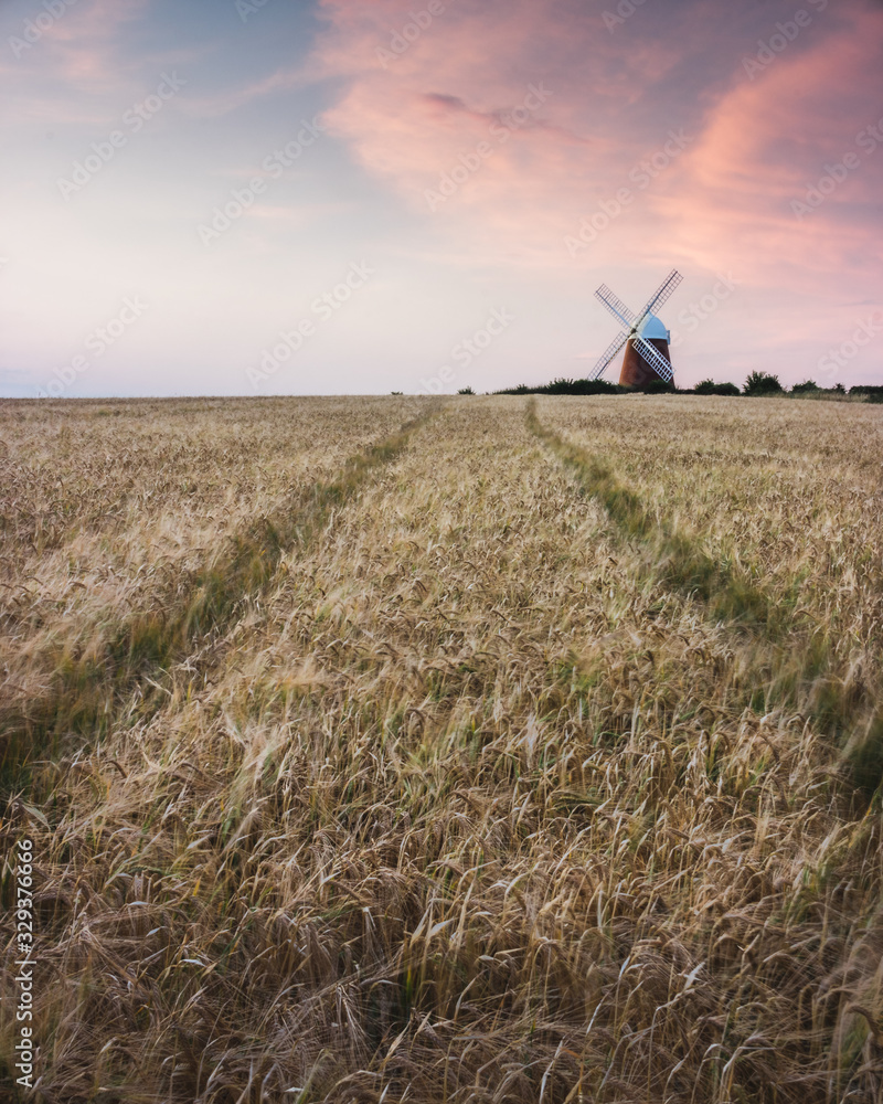 Fototapeta premium a windmill in a golden wheat field