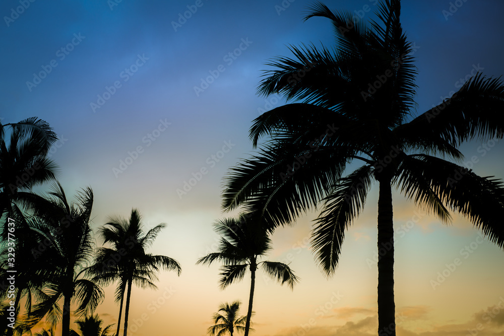 Tropical Vacation Travel Background With Palm Trees at Sunset