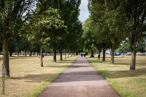 a path in the park with a row of tall trees