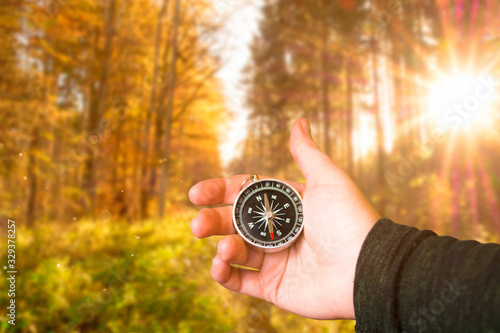 Obraz na płótnie hand holding compass, orienting in leafy forest