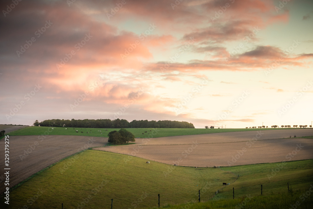 sunrise over rolling hills and fields in the english countryside