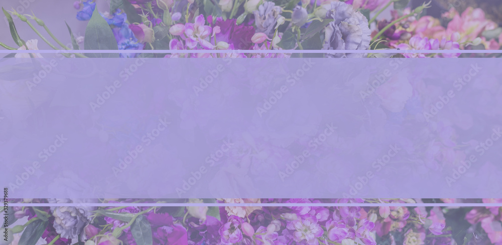 Lilac flowers bloom branch panorama. Greeting gift card background . Toned image. Template banner Lilac flowers bloom branch panorama. Greeting gift card background . Toned image. Template banner