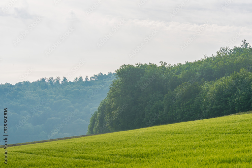Fototapeta premium Peaceful landscape with green meadows.