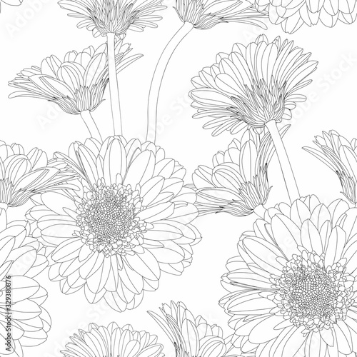 Fotografie, Obraz Seamless pattern with hand drawn gerbera flowers in sketch style