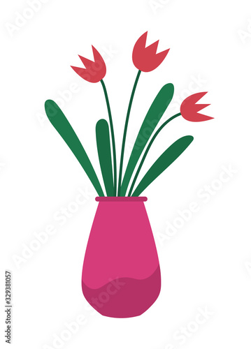 Flower in vase decoration element isolated on white. Houseplant blossom with leaves in colorful pot. Pink color of petal natural decor symbol. Plant of Womens day bloom gardening sign vector