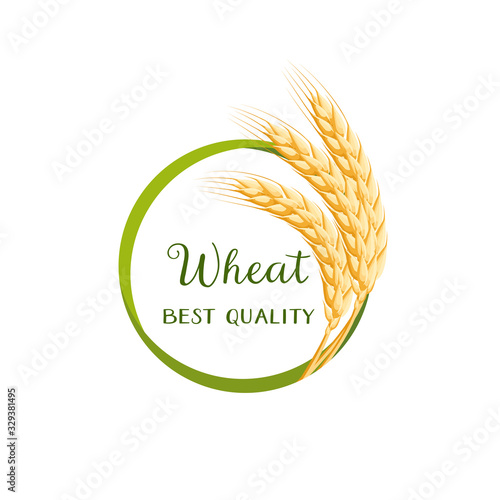 Green round frame of wheat ears, spikes, stems, with inscription. Vector illustration cartoon flat icon isolated on white.
