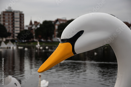 Fototapeta Naklejka Na Ścianę i Meble -  a plastic swan pedalo ride at a lake