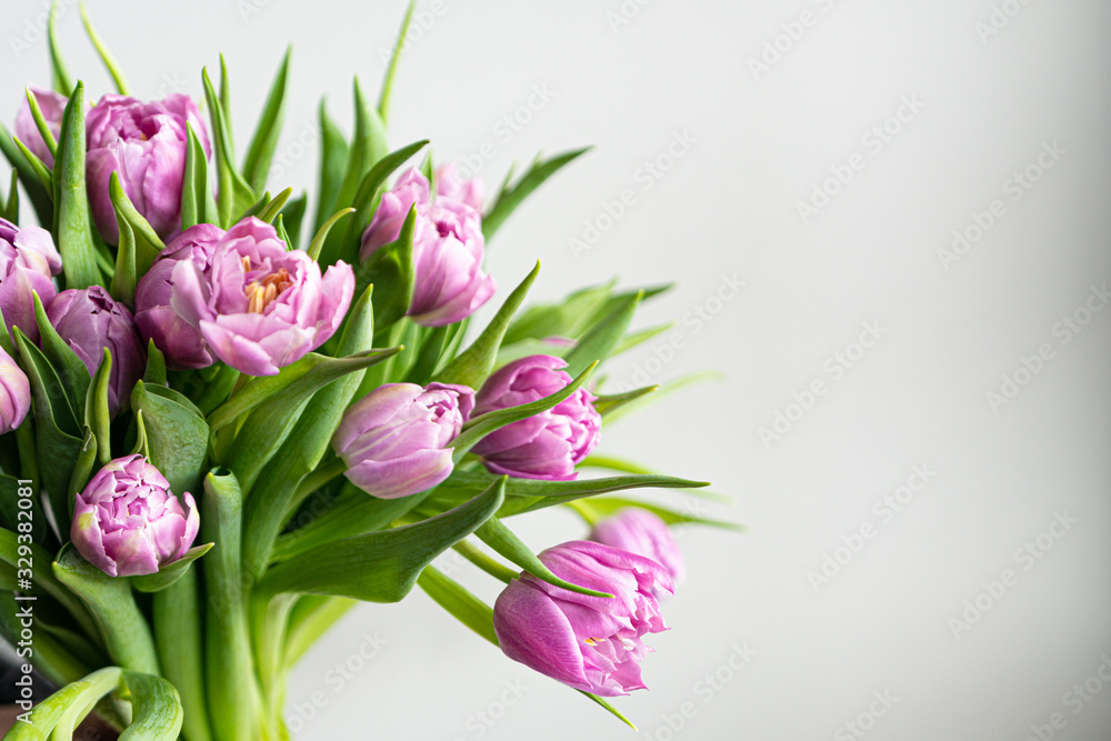 Obraz premium Spring flowers banner - bunch of violet tulips flowers on white, grey background. Easter day mock up greeting card. Tulip Congratulation or Invitation card with free space for text. 