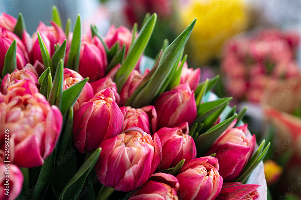 Obraz premium Spring flowers banner - bunch of multi color tulips flowers on white, grey background. Easter day mock up greeting card. Tulip Congratulation or Invitation card with free space for text.