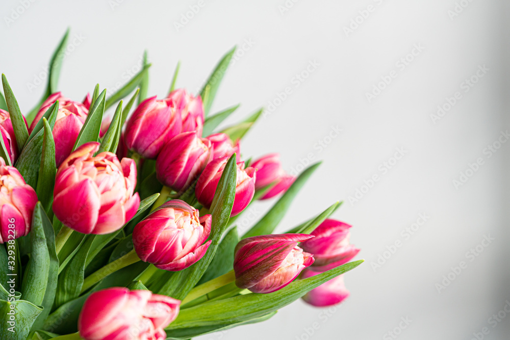 Spring flowers banner - bunch of rose tulips flowers on white, grey background. Easter day mock up greeting card. Congratulation or Invitation card with free space for text. 