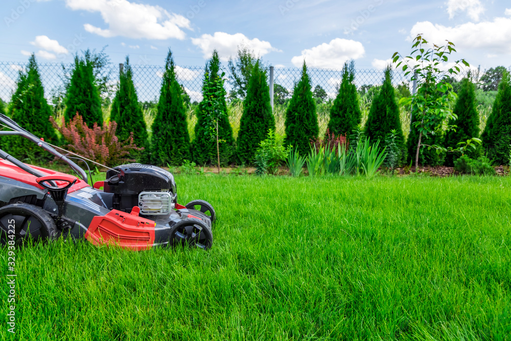 Lawn mower cutting green grass in backyard, mowing lawn