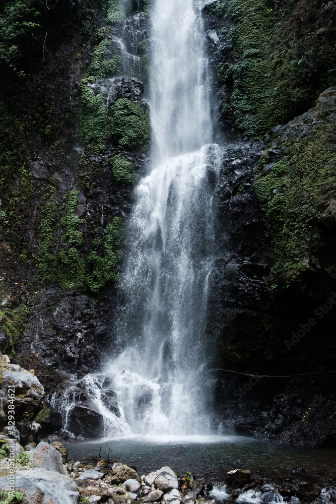 Obraz premium Bali Wasserfall