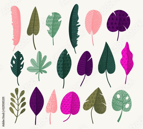 Set of abstract tropical leaves. Vector illustration.