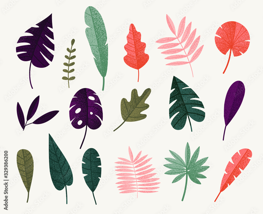 Set of abstract tropical leaves. Vector illustration.