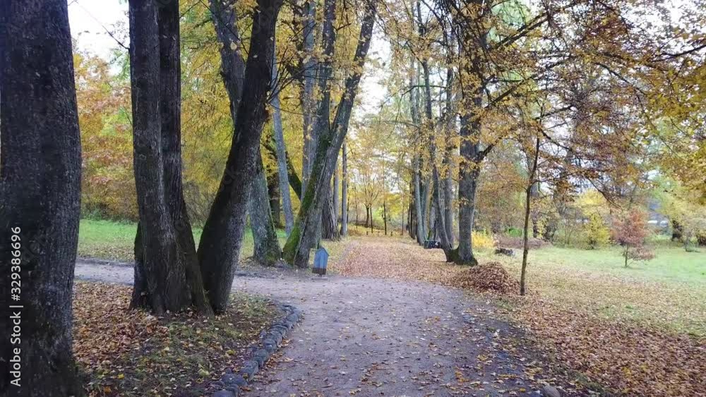Golden autumn in a country estate Golden autumn in a country estate