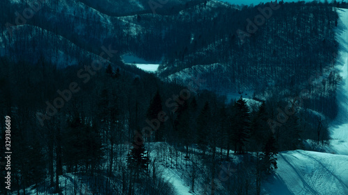 blueish snow landscape with trees