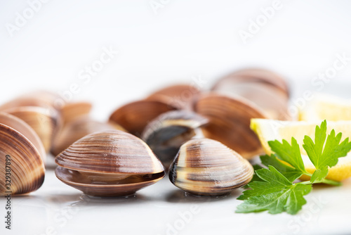 Fresh clams on white background