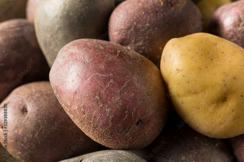 Raw Organic Rainbow Baby Potatoes Raw Organic Rainbow Baby Potatoes