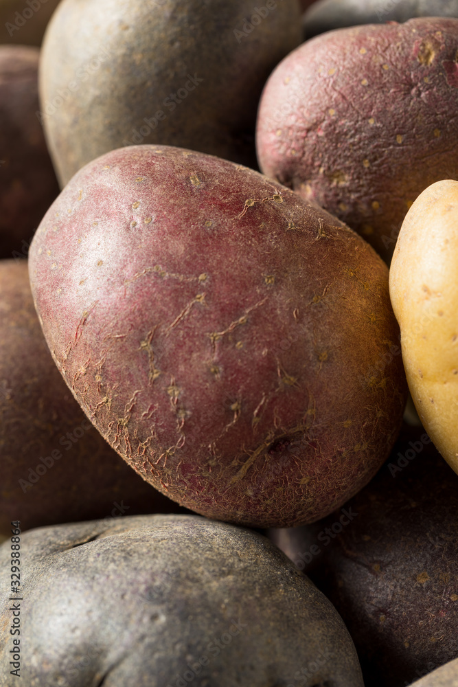 Raw Organic Rainbow Baby Potatoes Raw Organic Rainbow Baby Potatoes