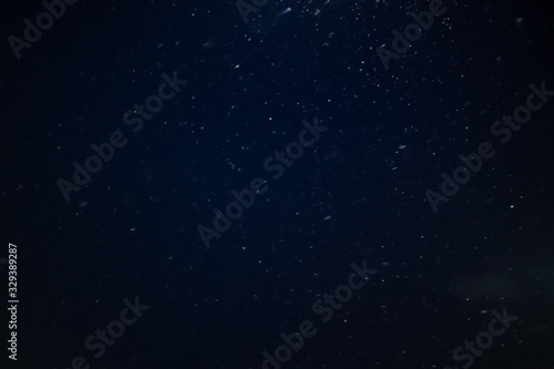 Falling realistic natural snowflakes in focus on a black and blue background