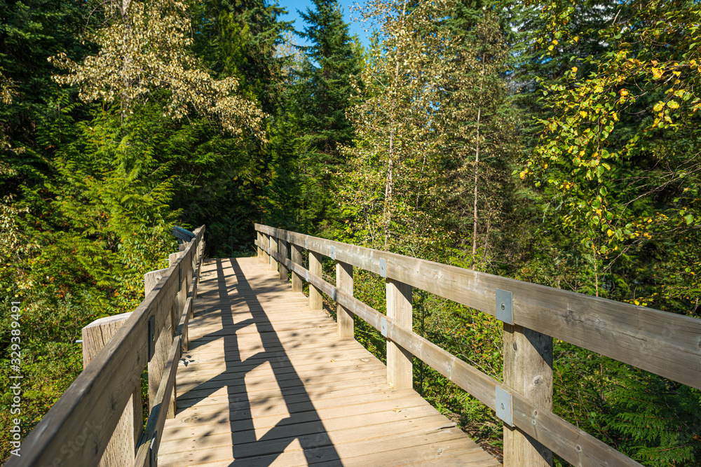 Pedestrian Bridge