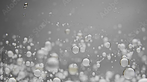 white bulls whirl and settle in clear liquid