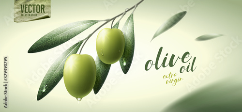 Vector realistic illustration. Green olives, leaves and paper icon. stock illustration