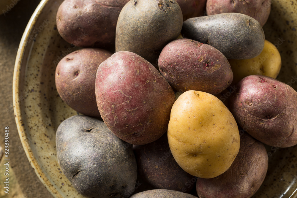 Raw Organic Rainbow Baby Potatoes Raw Organic Rainbow Baby Potatoes