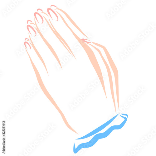 hands of a young praying woman, contour on a white background
