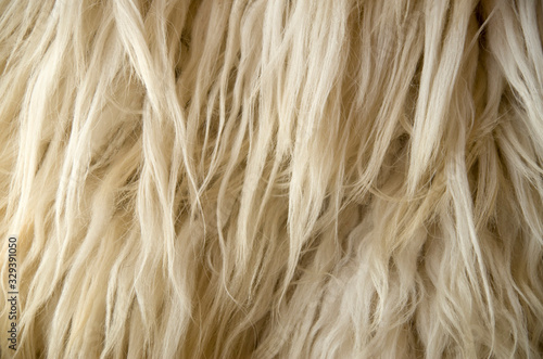 New light ecru wool closeup