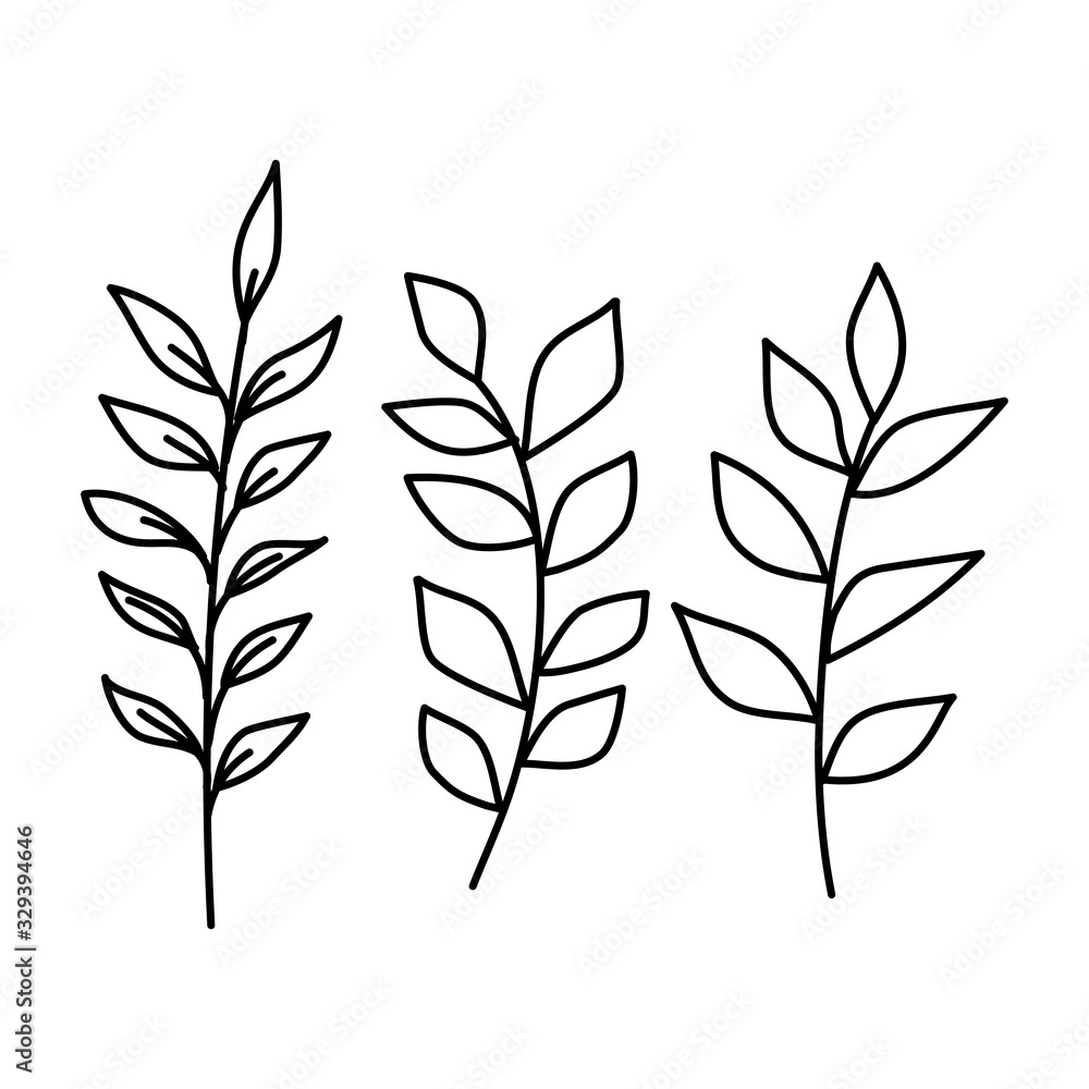 branch with leafs nature ecology isolated icon vector illustration design