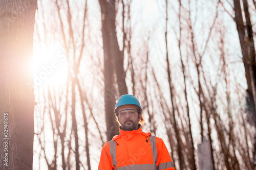 Forestry technician in forest, portrait of tree nursery professional