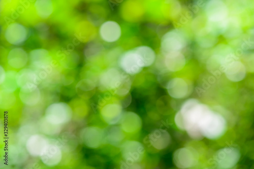 Natural bokeh from green leaf