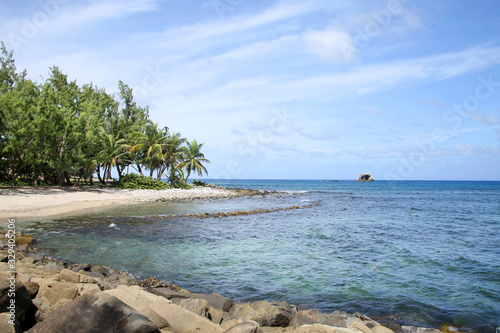 Beautiful tropical beach with palm trees, Gros Islet coastline, St Lucia, Caribbean. photo