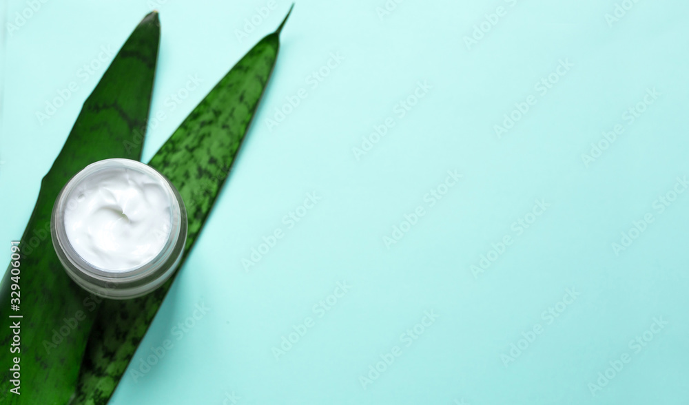 Concept of natural beauty products. With white cream for skin care on a pastel blue background with green leaves. Top view and copy space Concept of natural beauty products. With white cream for skin care on a pastel blue background with green leaves. Top view and copy space