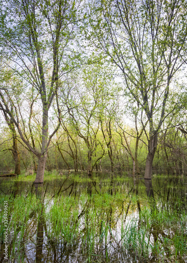 Heavy spring rains create vernal pools and valuable habitat for amphibians and reptiles.