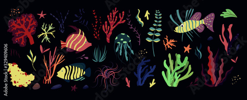 Underwater sea world dwellers, flora and fauna elements. Algae, coral reef, kelp, killer whale, dolphin. Vector cartoon illustration.	