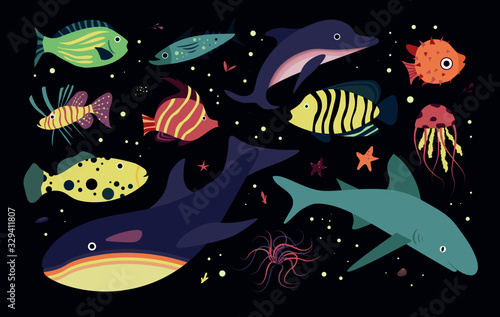 Underwater sea world dwellers, flora and fauna elements. Algae, coral reef, kelp, killer whale, dolphin. Vector cartoon illustration.	