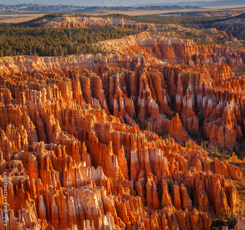Detail on hoodoos - unique rock formations from sandstone made by geological erosion. Taken during sunrise in Bryce National Park, Utah, USA