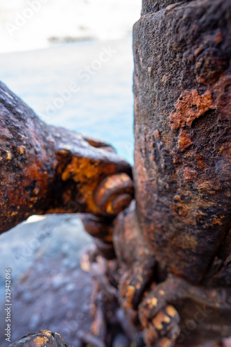 Wallpaper Mural La Gomera Kanaren im März Torontodigital.ca