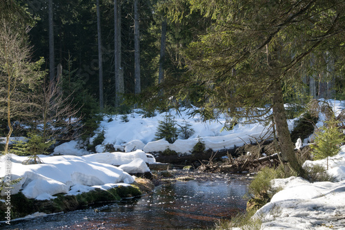 Winter landscape view in the german region Harz near at Oderteich photo